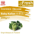Certified Organic Baby Kailan