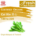 Certified Organic Cai Xin